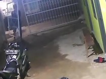 Pencuri di Kosan Terekam CCTV, Pelaku Lepas Pagar-Angkat Ban Depan Motor