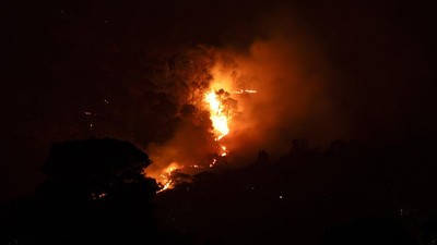 Penampakan Kobaran Api Lalap Hutan di Tengah Gelapnya Malam India