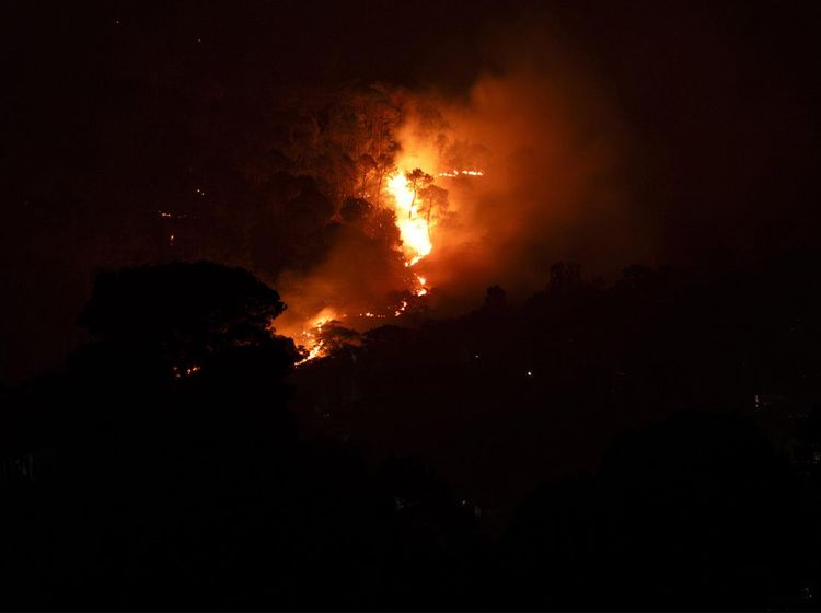 Penampakan Kobaran Api Lalap Hutan di Tengah Gelapnya Malam India