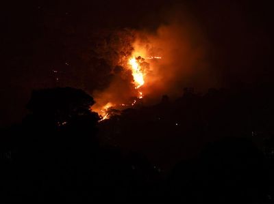 Penampakan Kobaran Api Lalap Hutan di Tengah Gelapnya Malam India