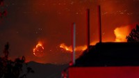 Hutan di lembah Kangra, India, terbakar pada Kamis (13/6/2024) malam.