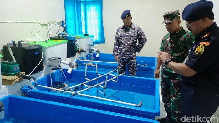 Penggerebekan rumah penyimpanan benih lobster.