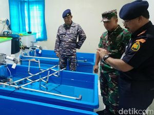 Tim Gabungan Gerebek Rumah Penyimpanan Benih Lobster, Pelaku Berhasil Kabur