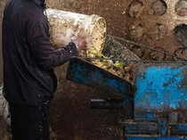 7 Cara Mengolah Sampah Organik di Rumah Jadi Limbah yang Bermanfaat