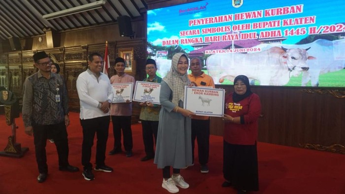 Penyerahan bantuan hewan kurban oleh Bupati Klaten Sri Mulyani.