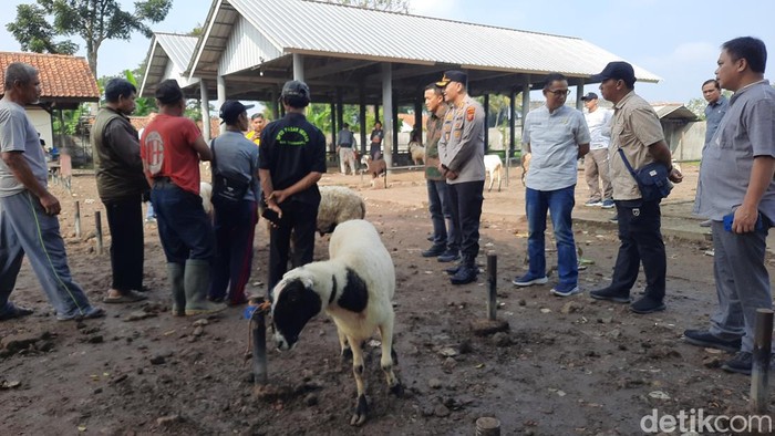 Petugas gabungan sidak pasar hewan di Tasikmalaya.