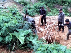 Bisnis Tambang Emas Ilegal Kembali Bergeliat di Sukabumi
