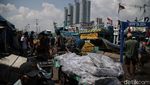 Potret Melimpah Tangkapan Ikan Nelayan Muara Angke