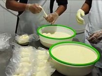 Keju Mozzarella Olahan Susu dari Dusun Brau Kota Batu Tembus Pasar Bali