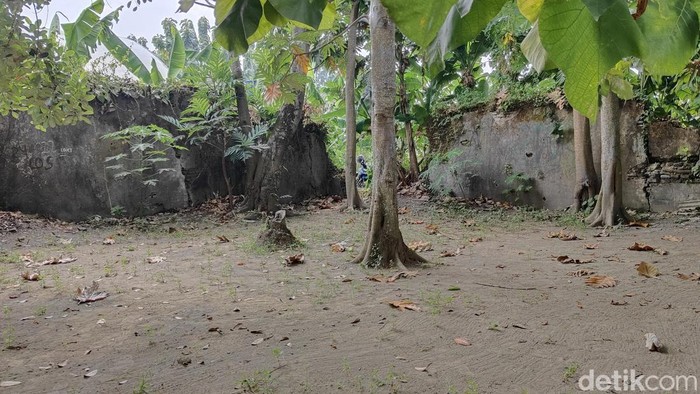 Puing tembok di tengah sawah Bantul ternyata eks pesanggrahan Sultan HB II. Foto diambil Rabu (29/5/2024).