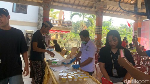 Puluhan pasangan calon pengantin di Desa Bukian, Kecamatan Payangan, Gianyar, Bali, mengikuti tes urine pada Jumat (14/6/2024). (Foto: Putu Krista/detikBali)