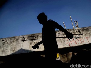 Prabowo Mau Garap Tanggul Laut Raksasa dari Banten Sampai Jawa Timur