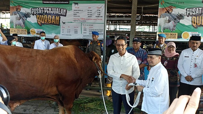 Wali Kota Heru Budi Serahkan Sapi Kurban Raksasa Jelang Idul Adha di RPH Cakung