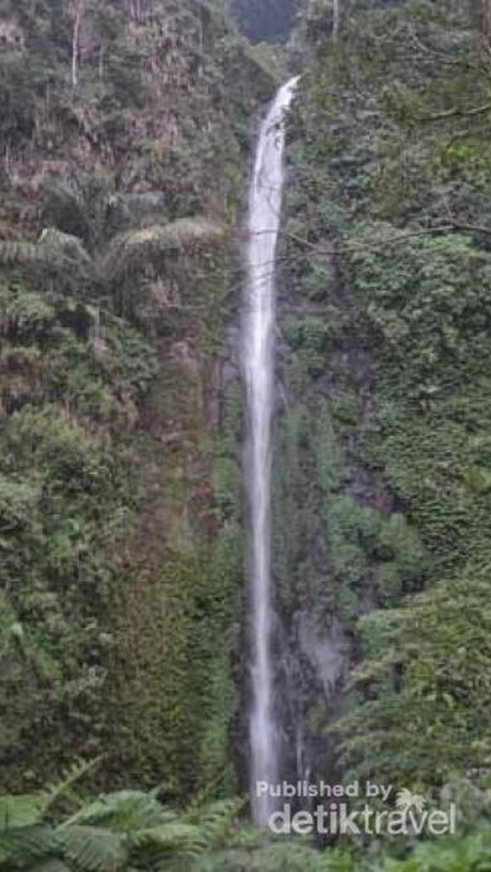 Air Terjun Tancak Jember