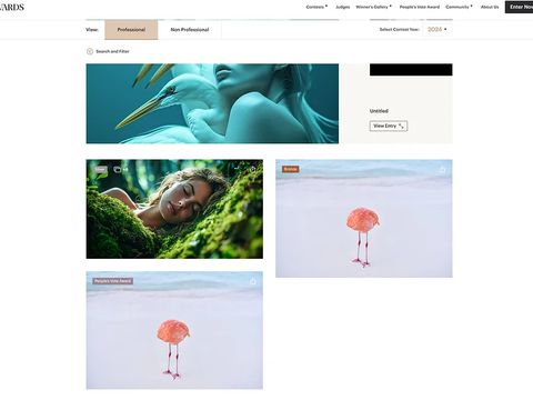 Foto flamingo jepretan Miles Astray yang berhasil mengecoh kontes AI