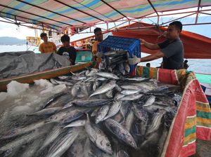 KKP Gandeng Norwegia buat Geber Standar Mutu Produk Perikanan RI