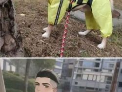 Kocak! Ketika Teknologi AI Gagal Mengubah Foto Manusia