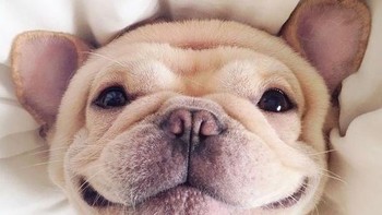 Habis tidur nyenyak jadi happy deh. Foto: Boredpanda