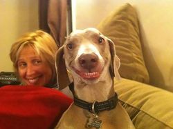 Lagi Sedih? Lihat Kumpulan Hewan Ini Jadi Ikutan Senyum