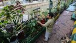Manfaatkan Lahan Pinggir Kali untuk Urban Farming