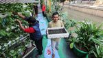 Manfaatkan Lahan Pinggir Kali untuk Urban Farming
