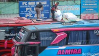 Kru bus tampak sibuk menyusun bagasi di atap bus.