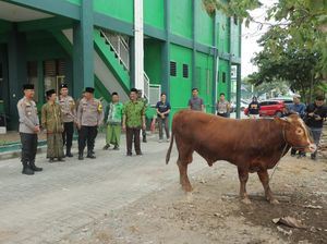 Berbagi Kebahagiaan Idul Adha, Polres Mojokerto Sumbang 29 Hewan Kurban