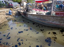 Tumpahan Minyak Mentah Cemari Sungai di Indramayu