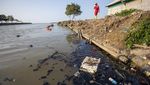 Tumpahan Minyak Mentah Cemari Sungai di Indramayu