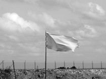 Ternyata Ini Alasan Bendera Putih Jadi Tanda Menyerah