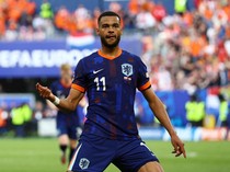 Pembuktian Diri Cody Gakpo