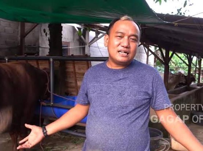 Gaya Kulineran Azis Gagap, Pelawak Senior yang Kini Jadi Juragan Sapi Kurban Gaya Kulineran Azis Gagap, Pelawak Senior yang Kini Jadi Juragan Sapi Kurban