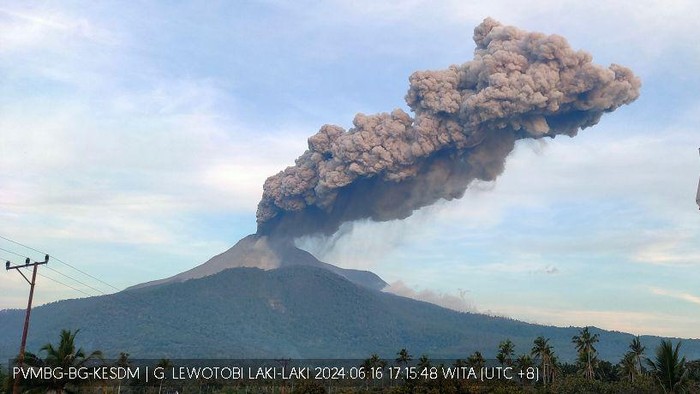 Gunung Lewotobi Laki-laki di Flores Timur, NTT, kembali meletus pada Minggu (16/6/2024) sore. (Foto: Istimewa/PVMBG)
