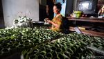 Potret Aktivitas di Kampung Lontong Surabaya