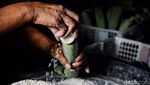 Potret Aktivitas di Kampung Lontong Surabaya