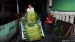 Potret Aktivitas di Kampung Lontong Surabaya
