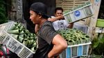 Potret Aktivitas di Kampung Lontong Surabaya