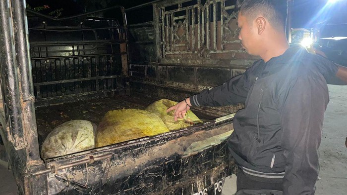 Mobil pikap maling sawit di Labusel, Sumut. (Istimewa)
