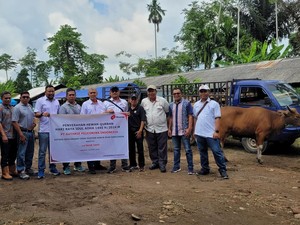 Perusahaan Sawit di Muba Berkurban 14 Sapi, Dibagikan ke Masyarakat Desa