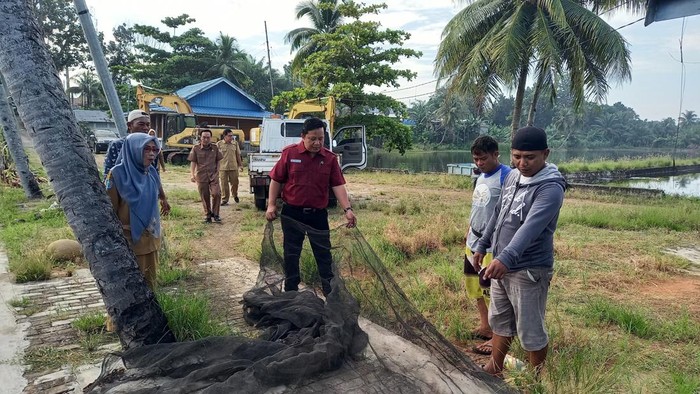 Pemprov Bengkulu bagikan 3 ton ikan bandeng ke warga jelang Idul Adha.