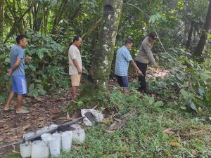 Penderes Nira Purbalingga Tewas Terjatuh dari Pohon Kelapa 15 Meter