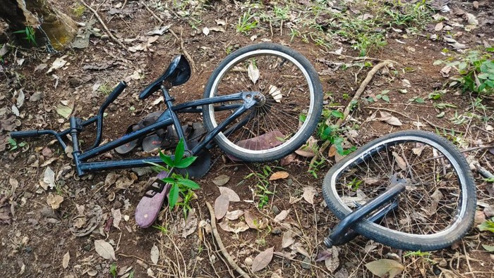 Sepeda milik bocah di Jember yang tewas usai menabrak pohon.