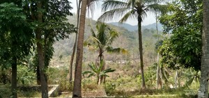 Desa Ini Terdiri dari Kelompok, Bukan Pedukuhan atau Dusun