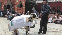 Santri memamerkan domba saat Festival Rias Domba di Pesantren Dzikir Al Fath, Gunungpuyuh, Kota Sukabumi, Jawa Barat, Minggu (16/6/2024). 