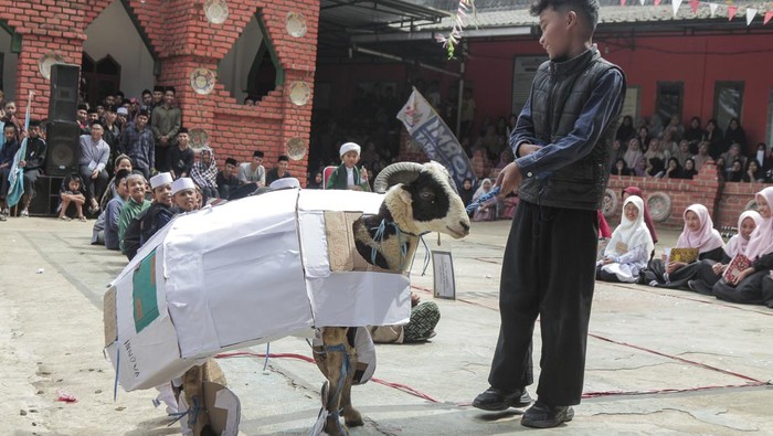 Santri memamerkan domba saat Festival Rias Domba di Pesantren Dzikir Al Fath, Gunungpuyuh, Kota Sukabumi, Jawa Barat, Minggu (16/6/2024). Festival rias domba yang digelar setahun sekali tersebut diikuti 11 ekor domba yang dirias oleh santri dalam rangka menyambut Hari Raya Idul Adha 1445 H. ANTARA FOTO/Henry Purba/agr/rwa.