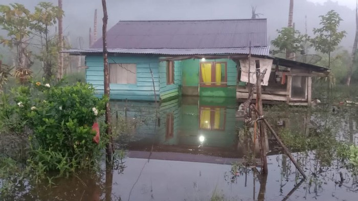 21 rumah di Tidore Kepulauan terendam banjir imbas tanggul jebol.