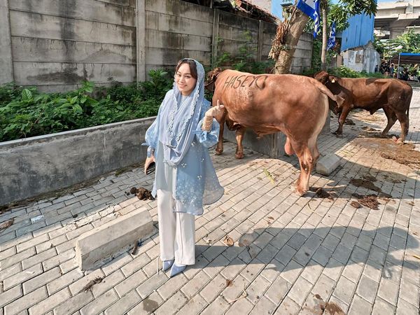 Anyeong dan Haseyo, Dua Sapi Kurban di Cipinang dari Zita Anjani