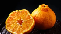 Berbeda dengan dekopon yang ada di Indonesia, di Jepang jeruk dekoponnya dihasilkan dari persilangan jeruk mandarin dan jeruk lokal. Harganya dijual hingga Rp 213.000 per buah. Foto: Tokyo Treats