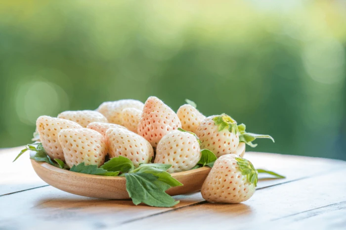 Buah termahal di Jepang Cuma Buat Sultan! Ini 10 Buah Segar Termahal di Jepang