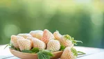 Cuma Buat Sultan! Ini 10 Buah Segar Termahal di Jepang